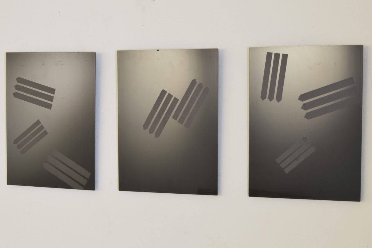 pignatelli_vettori_2
